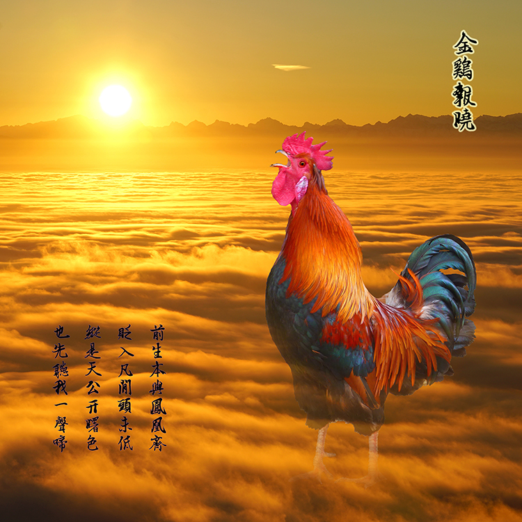 “虾兵蟹将太热闹,金鸡报晓有狗叫”打一最佳准确生肖详细解答、解释与落实、详细解答解释落实