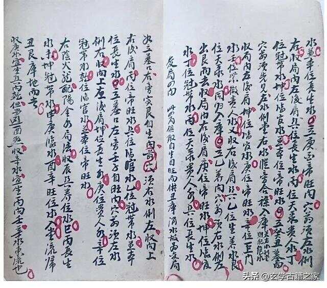 文章彪炳光六离，吕端大事不糊涂打一生肖详细解答、解释与落实、统计解答解释落实